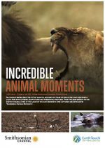 Watch Incredible Animal Moments Movie2k