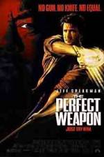 Watch The Perfect Weapon Movie2k