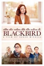 Watch Blackbird Movie2k