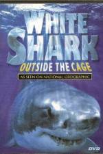 Watch National Geographic white shark:outside the cage Movie2k