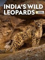 Watch India\'s Wild Leopards (Short 2020) Movie2k