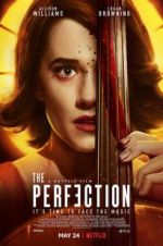 Watch The Perfection Movie2k