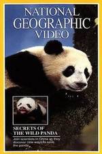 Watch Secrets of the Wild Panda Movie2k