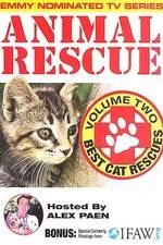 Watch Animal Rescue, Volume 2: Best Cat Rescues Movie2k