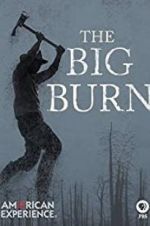 Watch American Experience: The Big Burn Movie2k