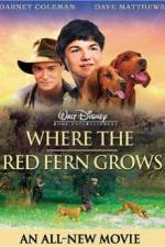 Watch Where the Red Fern Grows Movie2k