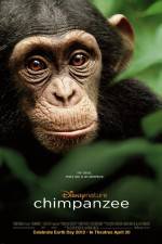 Watch Chimpanzee Movie2k