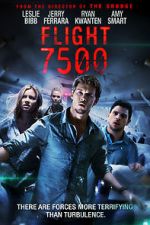 Watch Flight 7500 Movie2k