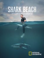 Watch Shark Beach with Chris Hemsworth (TV Special 2021) Movie2k