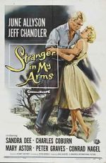 Watch A Stranger in My Arms Movie2k