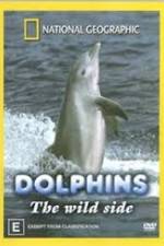 Watch Dolphins: The Wild Side Movie2k