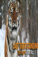 Watch Discovery Channel-Last Tiger Standing Movie2k