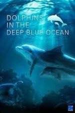 Watch Dolphins in the Deep Blue Ocean Movie2k