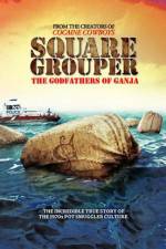 Watch Square Grouper Movie2k