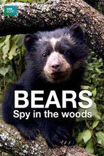 Watch Bears: Spy in the Woods Movie2k