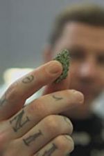 Watch Professor Green: Is It Time to Legalise Weed? Movie2k