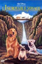 Watch Homeward Bound: The Incredible Journey Movie2k