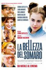 Watch La bellezza del somaro Movie2k