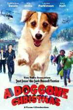 Watch A Doggone Christmas Movie2k