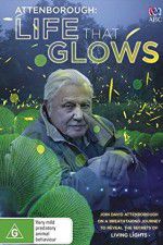 Watch Attenborough\'s Life That Glows Movie2k