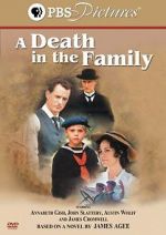 Watch A Death in the Family Movie2k