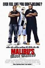 Watch Malibu's Most Wanted Movie2k