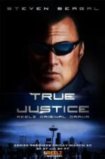 Watch True Justice: Brotherhood Movie2k