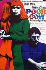 Watch Poor Cow Movie2k