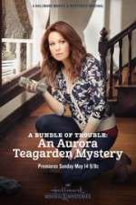 Watch A Bundle of Trouble: An Aurora Teagarden Mystery Movie2k