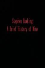 Watch Stephen Hawking A Brief History of Mine Movie2k