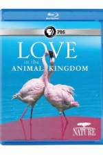 Watch Nature: Love in the Animal Kingdom Movie2k