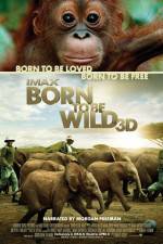 Watch Born to Be Wild Movie2k