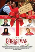 Watch For the Love of Christmas Movie2k