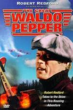 Watch The Great Waldo Pepper Movie2k