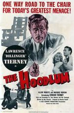 Watch The Hoodlum Movie2k