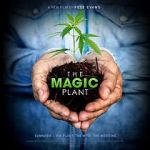 Watch The Magic Plant Movie2k