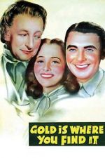 Watch Gold Is Where You Find It Movie2k