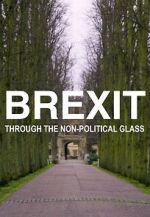 Watch Brexit Through the Non-Political Glass Movie2k