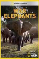 Watch War Elephants Movie2k