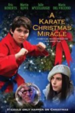 Watch A Karate Christmas Miracle Movie2k