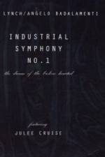 Watch Industrial Symphony No 1 The Dream of the Brokenhearted Movie2k