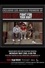 Watch Beastie Boys: Fight for Your Right Revisited Movie2k