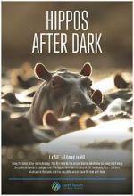 Watch Hippos After Dark Movie2k