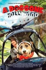 Watch A Doggone Hollywood Movie2k