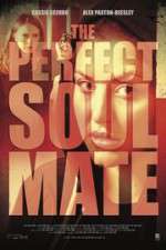 Watch The Perfect Soulmate Movie2k