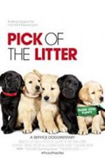 Watch Pick of the Litter Movie2k