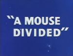 Watch A Mouse Divided (Short 1953) Movie2k