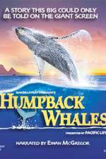 Watch Humpback Whales Movie2k
