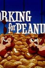 Watch Working For Peanuts Movie2k