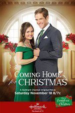 Watch Coming Home for Christmas Movie2k